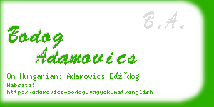 bodog adamovics business card